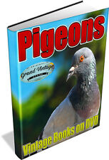 Pigeons vintage books for sale  WEST BROMWICH