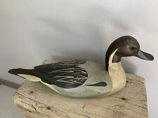 Pintail drake decoy for sale  Dillon