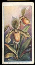 Tobacco Card, Carreras, ORCHIDS, 1925, Cypripedium Insigne, #3 for sale  Shipping to South Africa