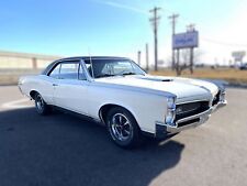 gto 1967 for sale  Anoka