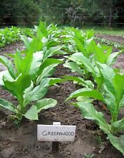 1000 greenwood tobacco for sale  Mesa
