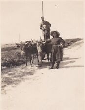 Usado, Fantástico Vintage Foto ORIGINAL Pessoas com Touros/Vaca Vida Rural Carrinho de Agricultura comprar usado  Enviando para Brazil