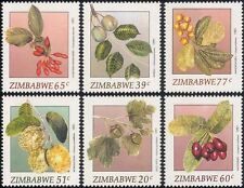 Zimbabwe 1991 Frutta selvatica/mele/prugne/bacche/alberi/piante/cibo set 6 V (b9989a) usato  Spedire a Italy