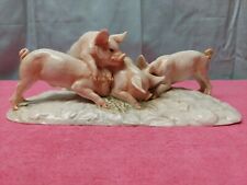 Cacciapuoti porcelain pig for sale  Albany
