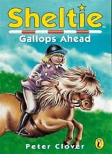 Sheltie gallops ahead for sale  UK