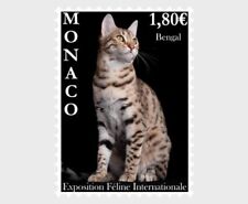 Monaco 2023 cats d'occasion  Lille-