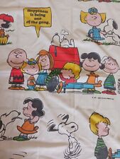 Vintage snoopy charlie for sale  Fontana