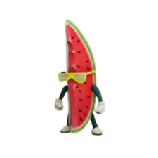 N.10 watermelon guy usato  Torino