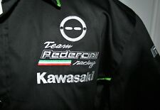Team pedercini kawasaki for sale  Shipping to Ireland