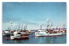 Cartão postal Purse Seiners In The Bay At Monterey Califórnia barcos pesca comprar usado  Enviando para Brazil