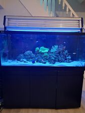 Marine fish tank for sale  BLACKBURN