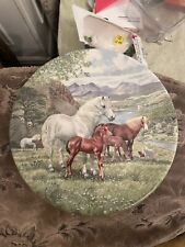 Welsh mountain ponies for sale  DARTFORD