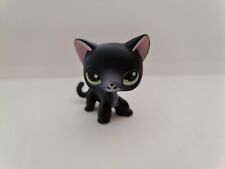 Littlest Pet Shop #336 Czarny krótkowłosy kot zielone oczy LPS Autentyczny na sprzedaż  PL