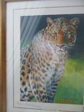 Stephen gaylord print for sale  CHICHESTER