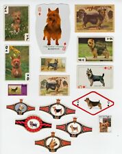 Australian terrier collection for sale  COLEFORD