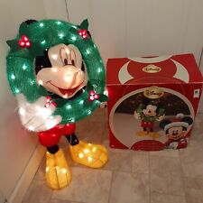 Disney lighted iridescent for sale  Chambersburg