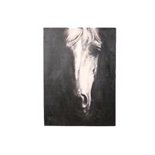 Mystical equestrian monochrome for sale  USA