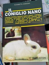 Gismondi coniglio nano usato  Roma