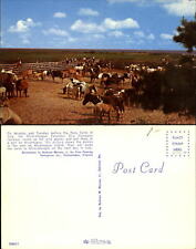 Caballos salvajes en corral antes de Chincoteague Pony Swim Virginia VA ~ 1950s segunda mano  Embacar hacia Argentina