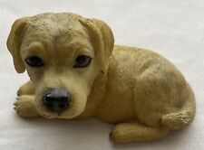 Golden yellow labrador for sale  ELY