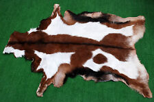 New Goat hide Rug Hair on Area Rug Size 36"x24" Animal Leather Goat Skin U-5734 for sale  Shipping to South Africa