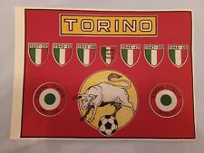 Torino calcio torino usato  Milano