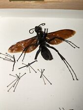 Hymenoptera, Pepsis Heros !BIG SIZE! 103mm-/+ WS , Loreto Region A2-B for sale  Shipping to South Africa