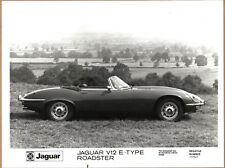 Jaguar type v12 for sale  BATLEY