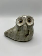 owl pigeon for sale  San Francisco