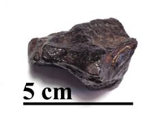 Famoso meteorito de hierro, Gabaón, bonito individuo, Namibia, 134 gr segunda mano  Embacar hacia Mexico