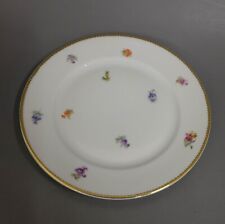 Kuchenteller rosenthal streubl gebraucht kaufen  Bulach