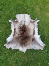 Decorative reindeer hide for sale  ROSS-ON-WYE