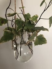 Plant propagation vase for sale  Arnold