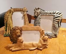 Photo frames. zebra for sale  NOTTINGHAM