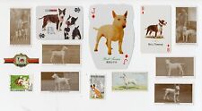 BULL TERRIER VINTAGE DOG COLLECTABLE CARDS STAMPS AND DUTCH CIGAR BAND for sale  Shipping to South Africa
