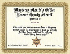 Mayberry deputy sheriff for sale  Conway