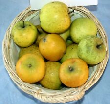 Greffon pomme reinette d'occasion  Sainte-Menehould