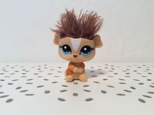 Littlest petshop guinea d'occasion  Expédié en Belgium