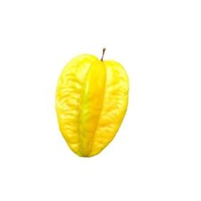 Decorative fruit carambola for sale  Shipping to Ireland