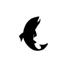 TROUT FISH,FISHING, BOAT BOYS,SPORT, SILHOUETTE CAR DECAL STICKER for sale  Shipping to South Africa