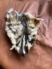 soft mount taxidermy for sale  Klamath Falls