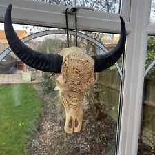 Real buffalo skull for sale  RAINHAM