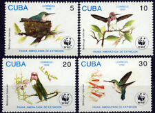 Caribbean 1992 birds for sale  Hayward
