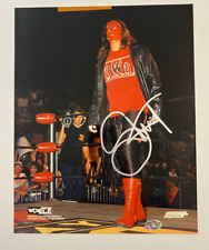 Sting signed 8x10 for sale  Janesville
