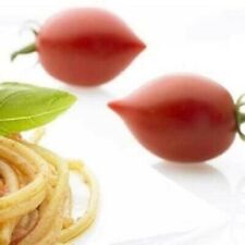 Italian heirloom tomato usato  Roma