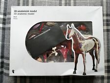 Anatomie modell pferde gebraucht kaufen  Penzlin-Umland