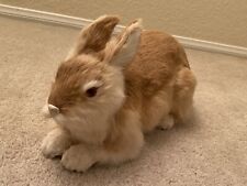 large soft bunnies for sale  Oak Park