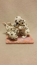 Dalmation pups playing for sale  Des Moines