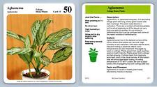 Aglaonema #15 Foliage - My Green Gardens 1987 Cardmark Card for sale  Shipping to South Africa