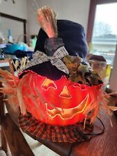 Fiber optic pumpkin for sale  Warren